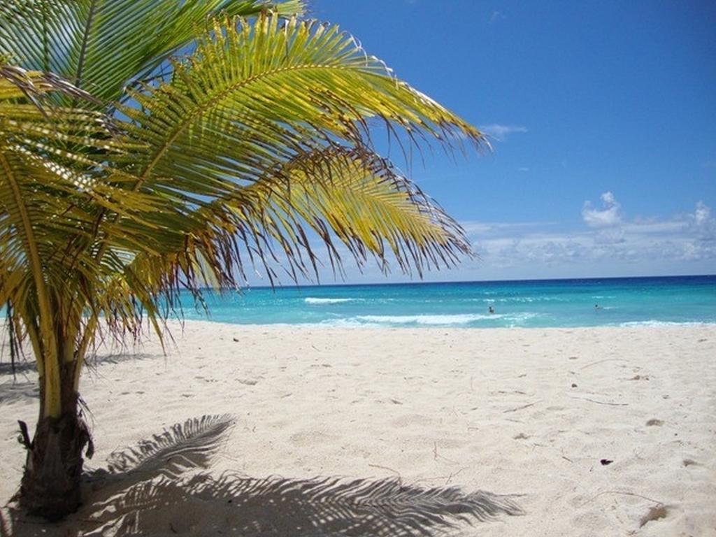 Beach Guest House Cleverdale Бриджтаун Стая снимка
